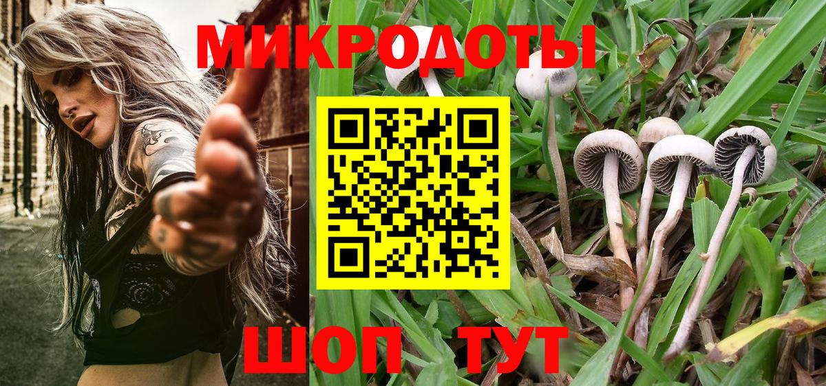 Назрань  Псилоцибиновые грибы Psilocybine cubensis  Вход с VPN 